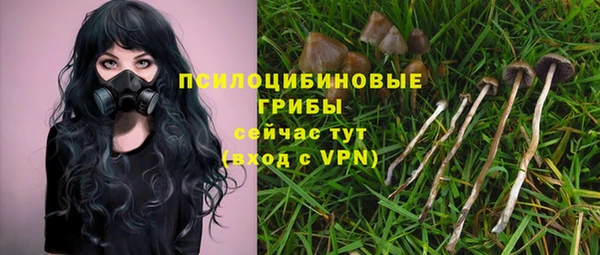 винт Гусев