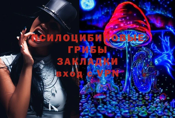 винт Гусев