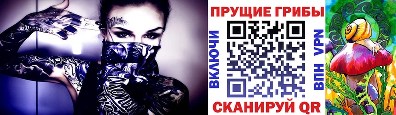 Галлюциногенные грибы мухоморы  Купить  Камышлов 